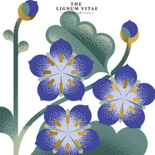 Load image into Gallery viewer, #2 Private Garden Series Jamaican Rum WP 2007