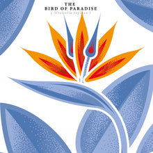 Load image into Gallery viewer, #4 Private Garden Series Trinidad Rum, TDL 2005, 10 years tropical, 8 years in Europe, 62,9% ABV, Cask Strength, only 338 bottles, 500ml