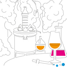 Load image into Gallery viewer, #6 Swell & Co Series Hontambère Armagnac Ténarèze 1989, cask strength at 55.9 % ABV, only 250 bottles, 500 ml