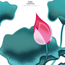 Charger l'image dans la galerie, #7 Private Garden Series Cognac Petite Champagne, Prunier 1989, 62,1% ABV, Brut de fût, seulement 60 bouteilles, 500 ml