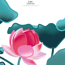 Charger l'image dans la galerie, #8 Private Garden Series Cognac Borderies, Prunier 1975, 43,5% ABV, Brut de fût, seulement 50 bouteilles, 500 ml