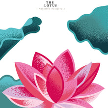 Load image into Gallery viewer, #9 Private Garden Cognac Prunier Grande Champagne Lot 40, 54,2% ABV, Cask Strength, only 28 bottles, 500ml