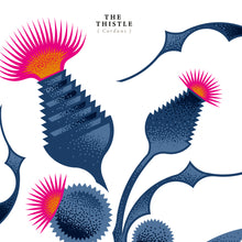 Load image into Gallery viewer, #11 Private Garden Series Unpeated Ledaig 1994