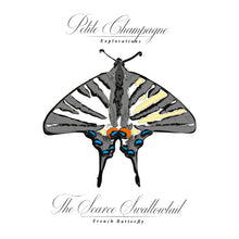 Load image into Gallery viewer, #4 Field Trip Series Cognac Petite Champagne Tiffon Lot 45