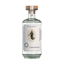 Charger l&#39;image dans la galerie, #3 Made in Mexico Tequila Blanco 100% Agave Azul 2023 Cascahuin
